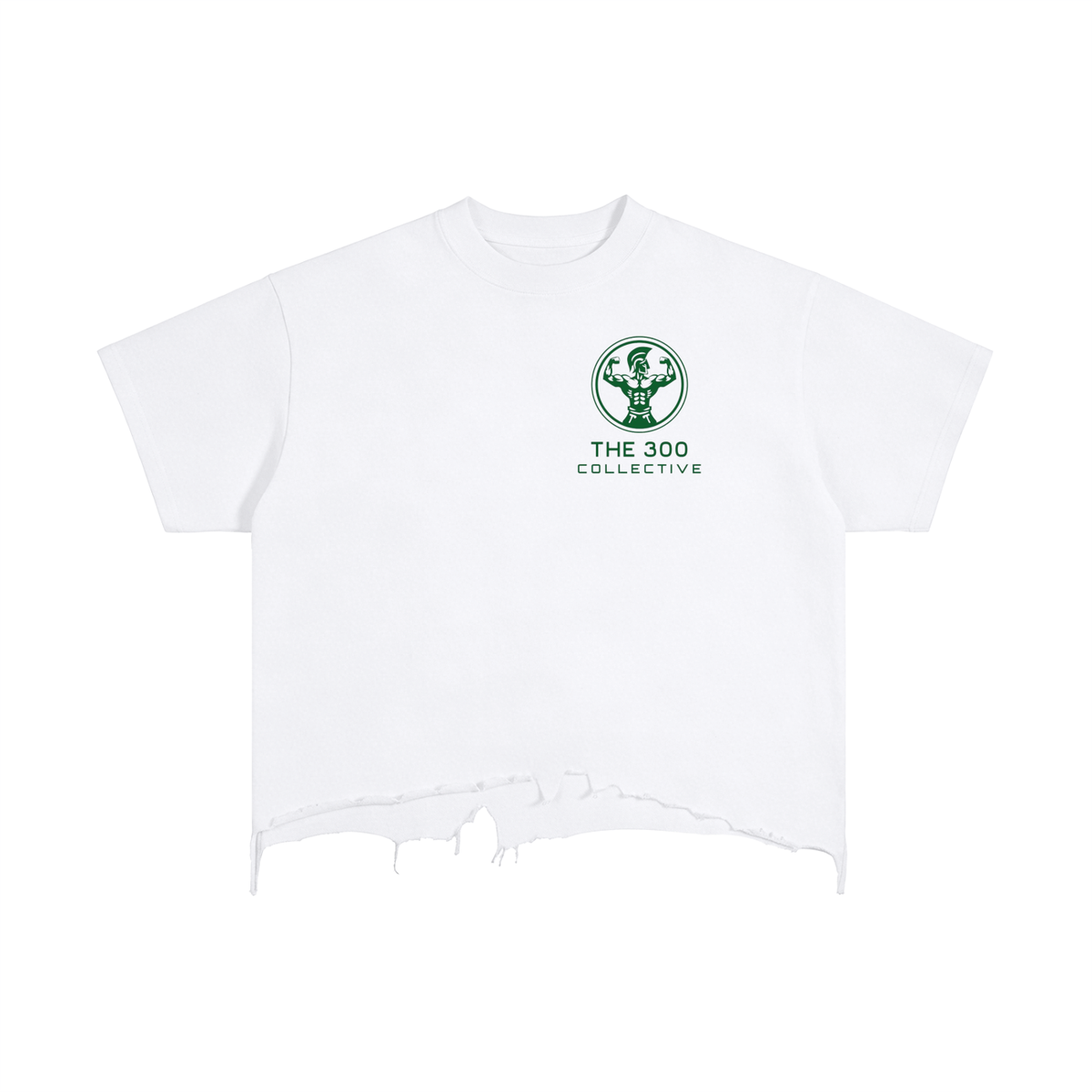 'Mastery over Emotions' Vintage Washed Boxy Distressed Hem T-Shirt